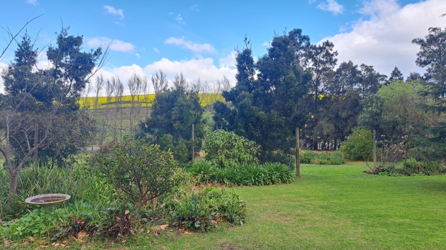 3 Bedroom Property for Sale in Caledon Western Cape